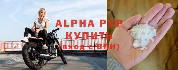 ПСИЛОЦИБИНОВЫЕ ГРИБЫ Богданович