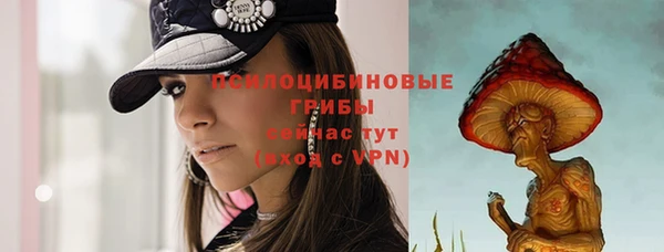 ALPHA PVP Богородицк
