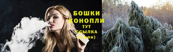 ALPHA PVP Богородицк